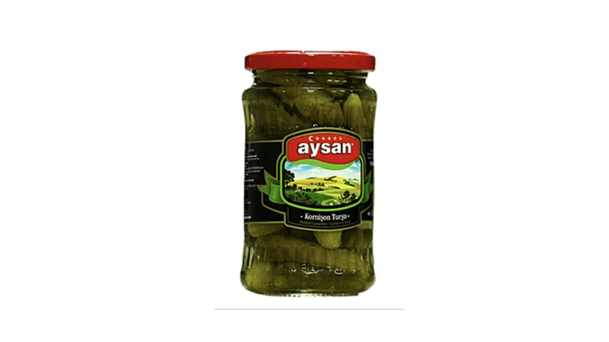 aysan-tursu-xiyar-340qr-8527