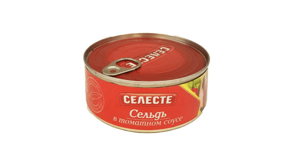 seleste-siyenek-tomat-sousda-240qr-8523