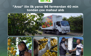 "Araz" supermarketlər şəbəkəsi ilin ilk yarısı 96 fermerdən 40 min tondan çox məhsul alıb