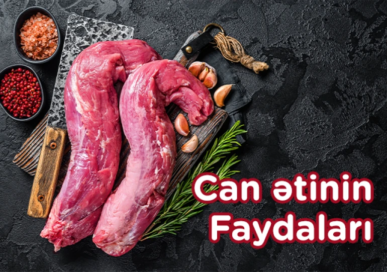 Can Ətinin Faydaları